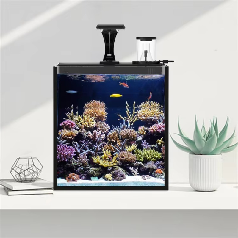 Ultra Şeffaf Cam Mini Tuzlu Su - Marine Aquarium Cube incelemesi ve fiyatı