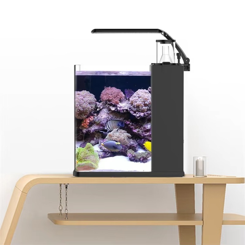 Ultra Şeffaf Cam Mini Tuzlu Su - Marine Aquarium Cube incelemesi ve fiyatı