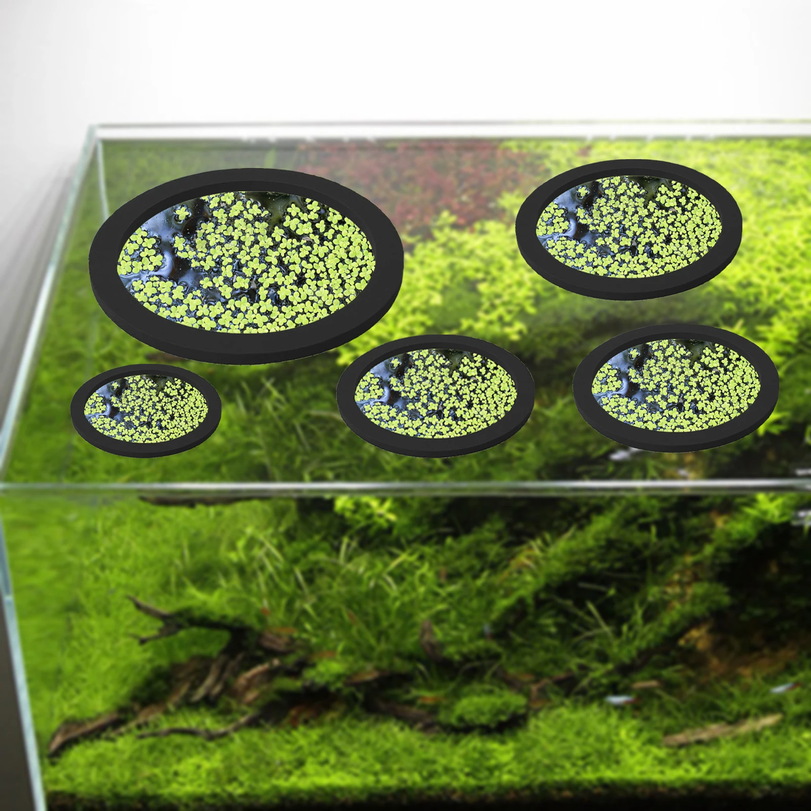 5 adet EVA balık besleme halka - Aquarium Marine Plants incelemesi ve fiyatı
