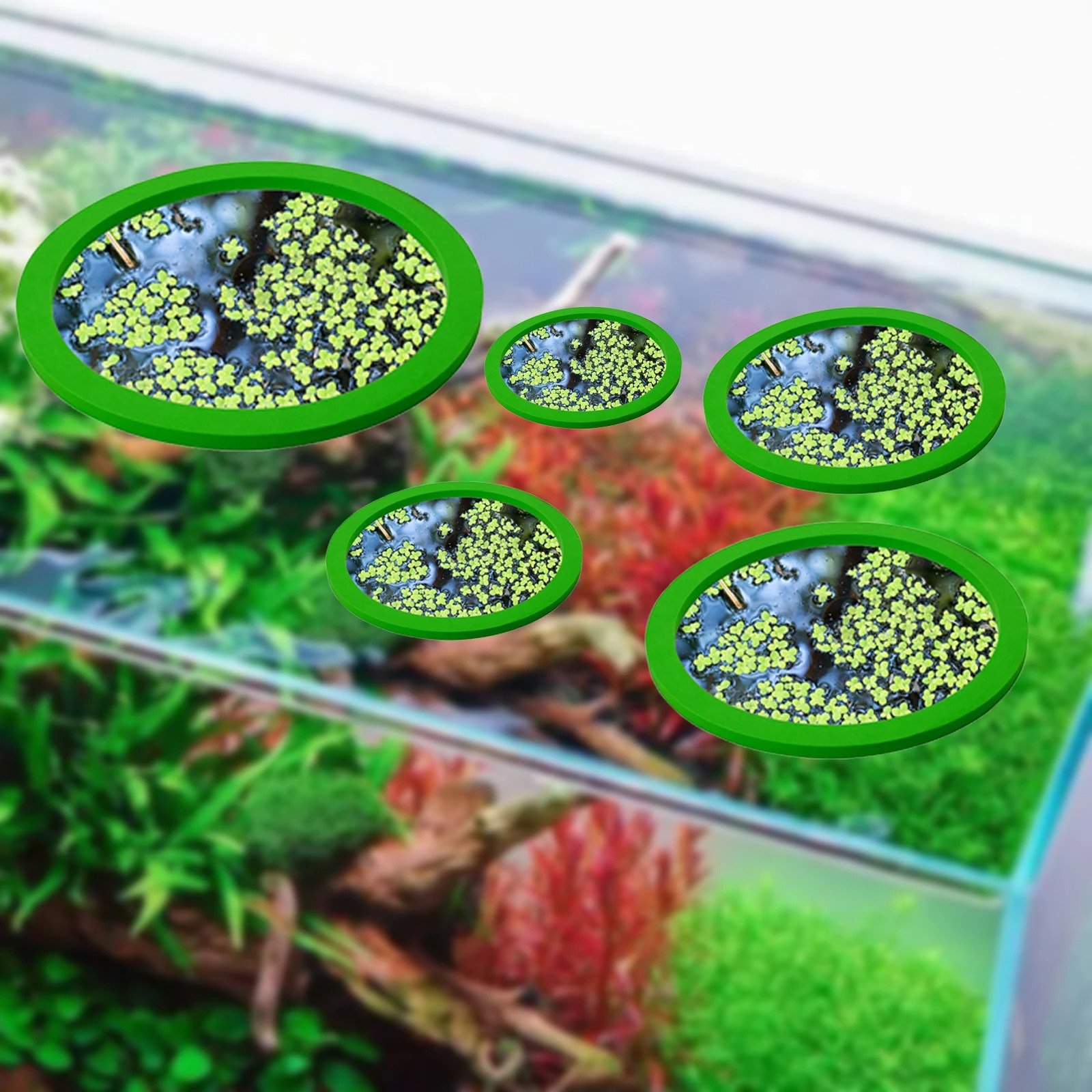 5 adet EVA balık besleme halka - Aquarium Marine Plants incelemesi ve fiyatı