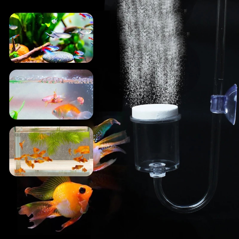 4 adet Set DIY CO2 difüzör içi - Aquarium Marine Plants incelemesi ve fiyatı